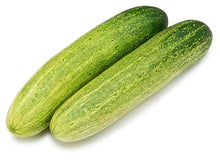 Salad Cucumber Seeds / Salad Vellarikkaai Vidgaigal