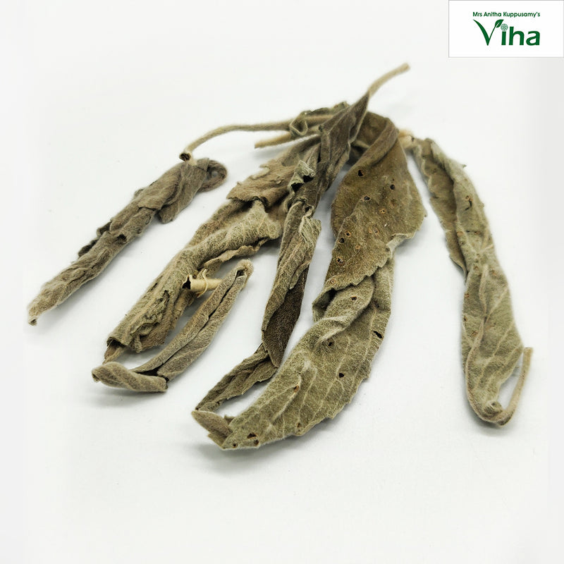 Several dried grey-green erukku leaf wicks, rolled long and narrow, on a white surface