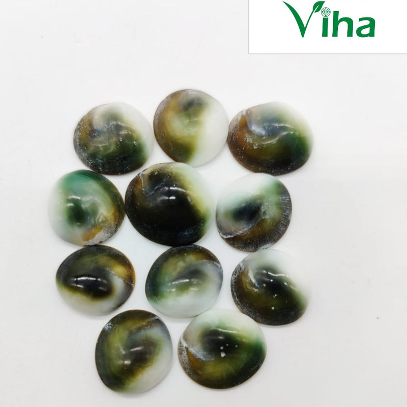 11 Green Big Gomathi Chakras Set laid out together