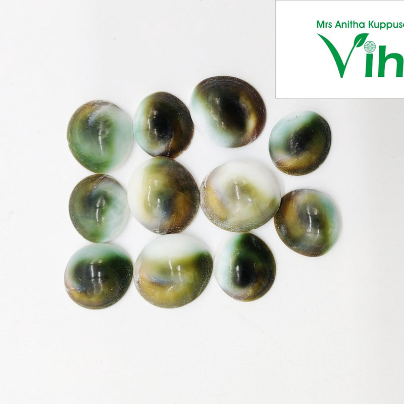 11 Green Small Gomathi Chakras Set, laid out together