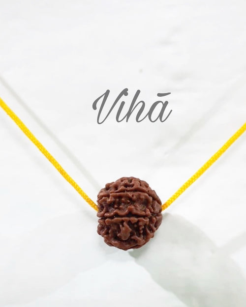 7 Mukhi Rudraksh, a single brown rudraksha bead strung on a yellow cord