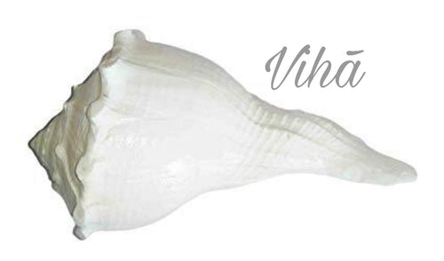 Mini Valampuri Shankh - 3