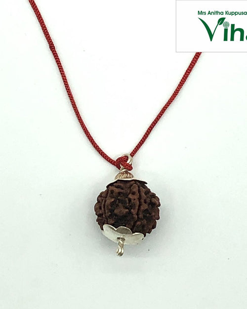 6 Face Rudraksh With Silver Cappings, rough textured brown sphere on red braided cord