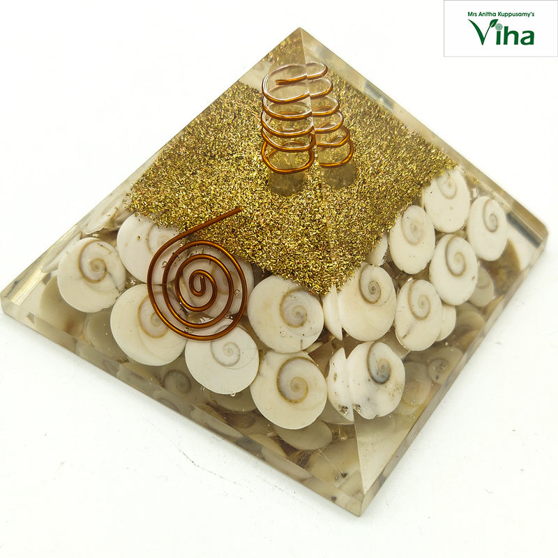 Gomati Chakra Pyramid with embedded small spiral shells